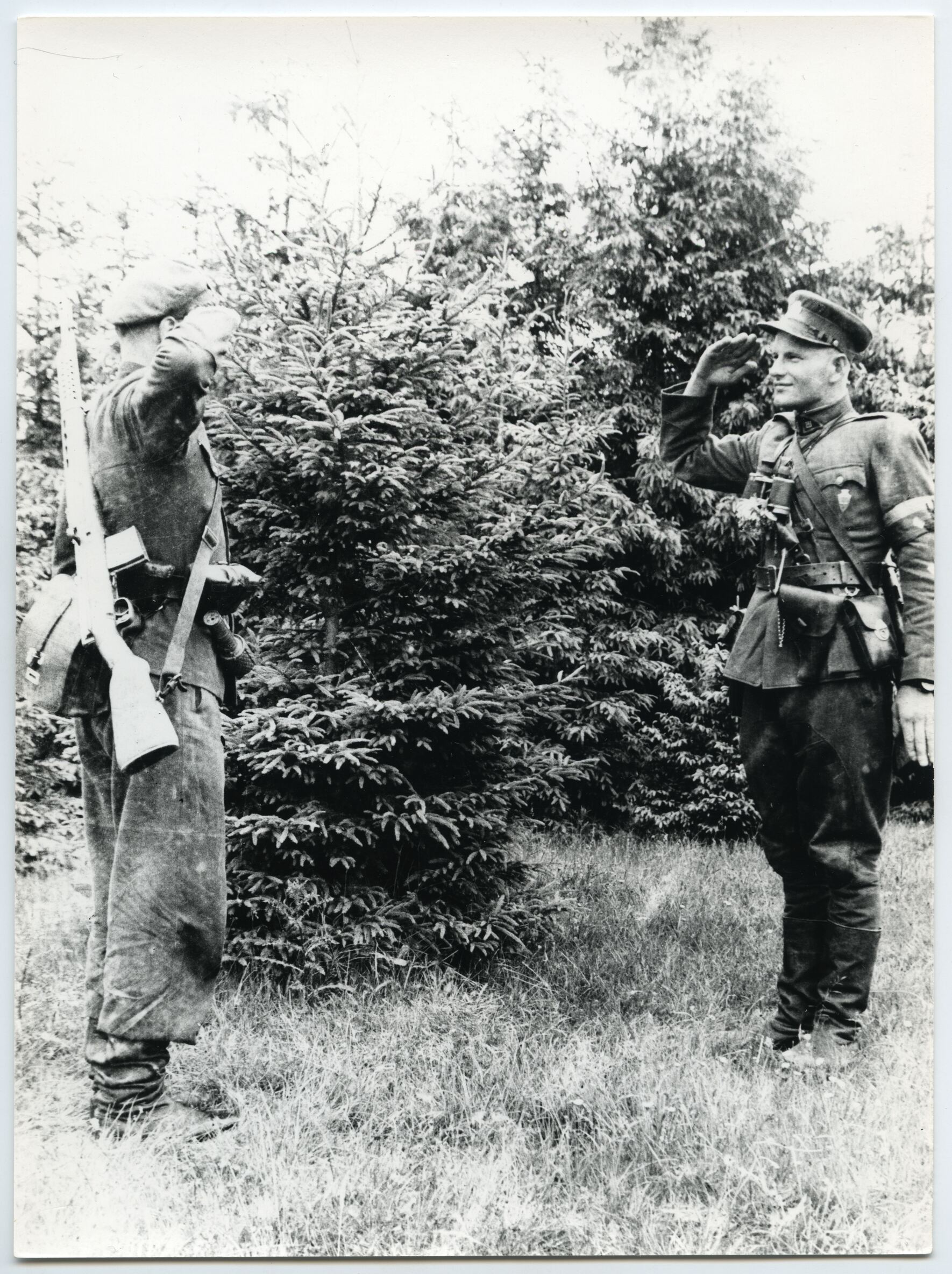 Nežinomas autorius, Mindaugo tėvūnijos partizanai