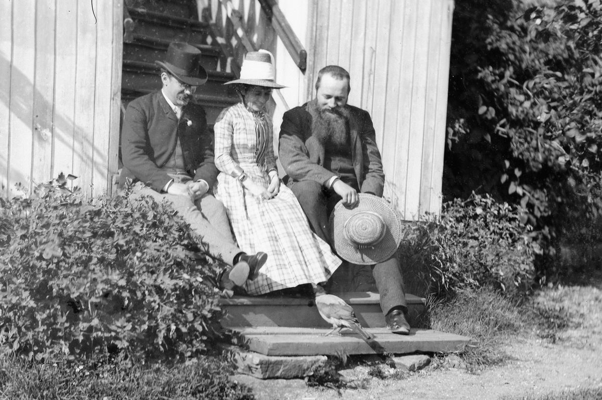 Hans Emil Erichsen, 2 menn og 1 kvinne sitter i trapp ute. Tam kråke drar i kjolen til kvinnen.