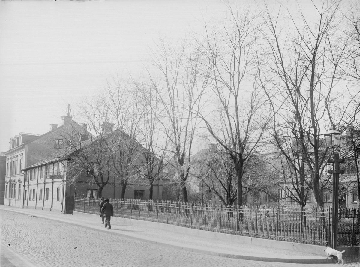 Alfred Dahlgren, King Street to the South from Smedsänd, Uppsala 1901 - 1902