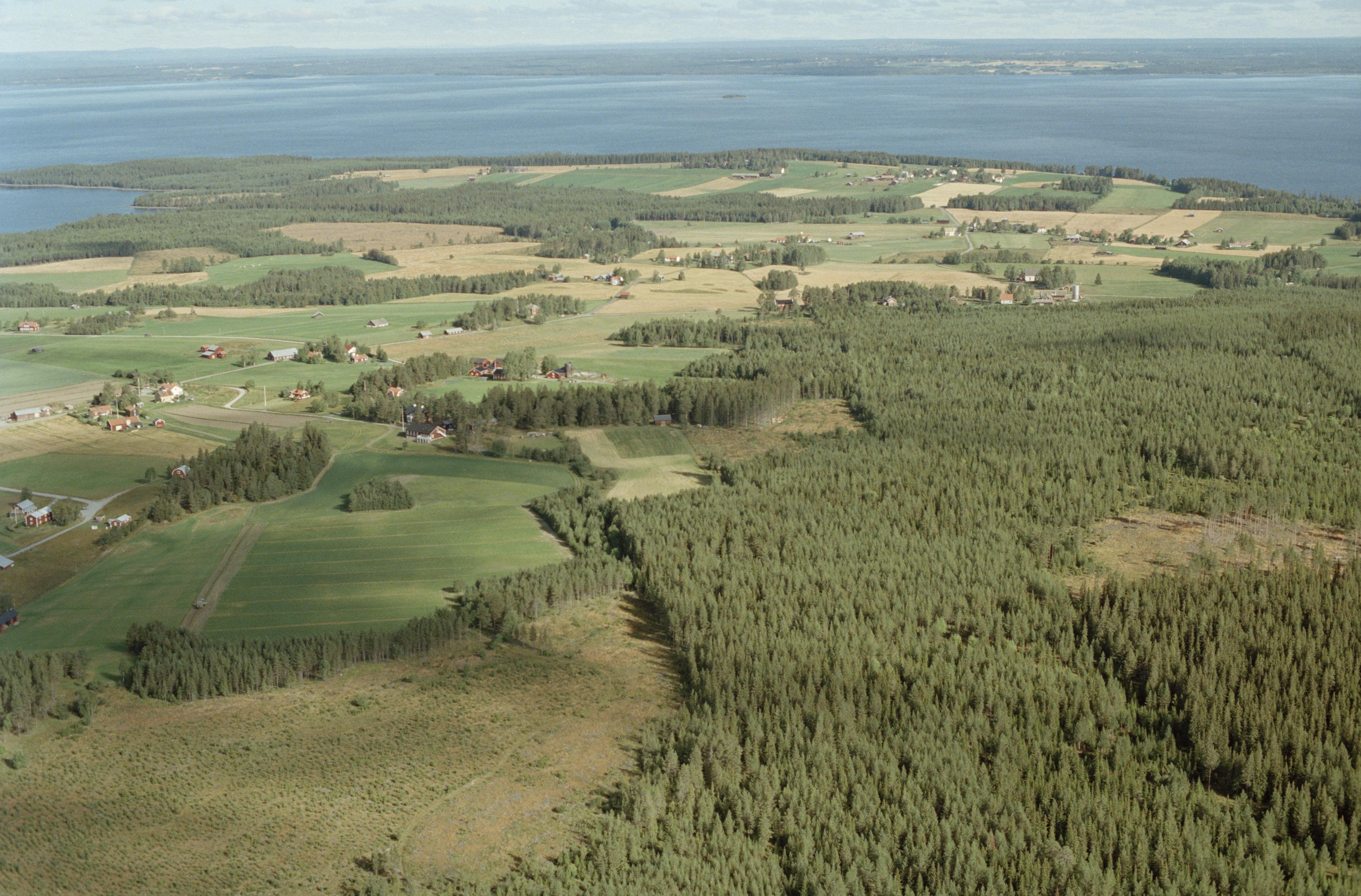 Jan Norrman, Norderö 24:1