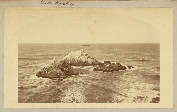 Carleton Watkins, Seal Rocks.