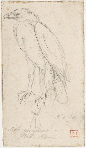 Charles Meryon, A Golden Eagle