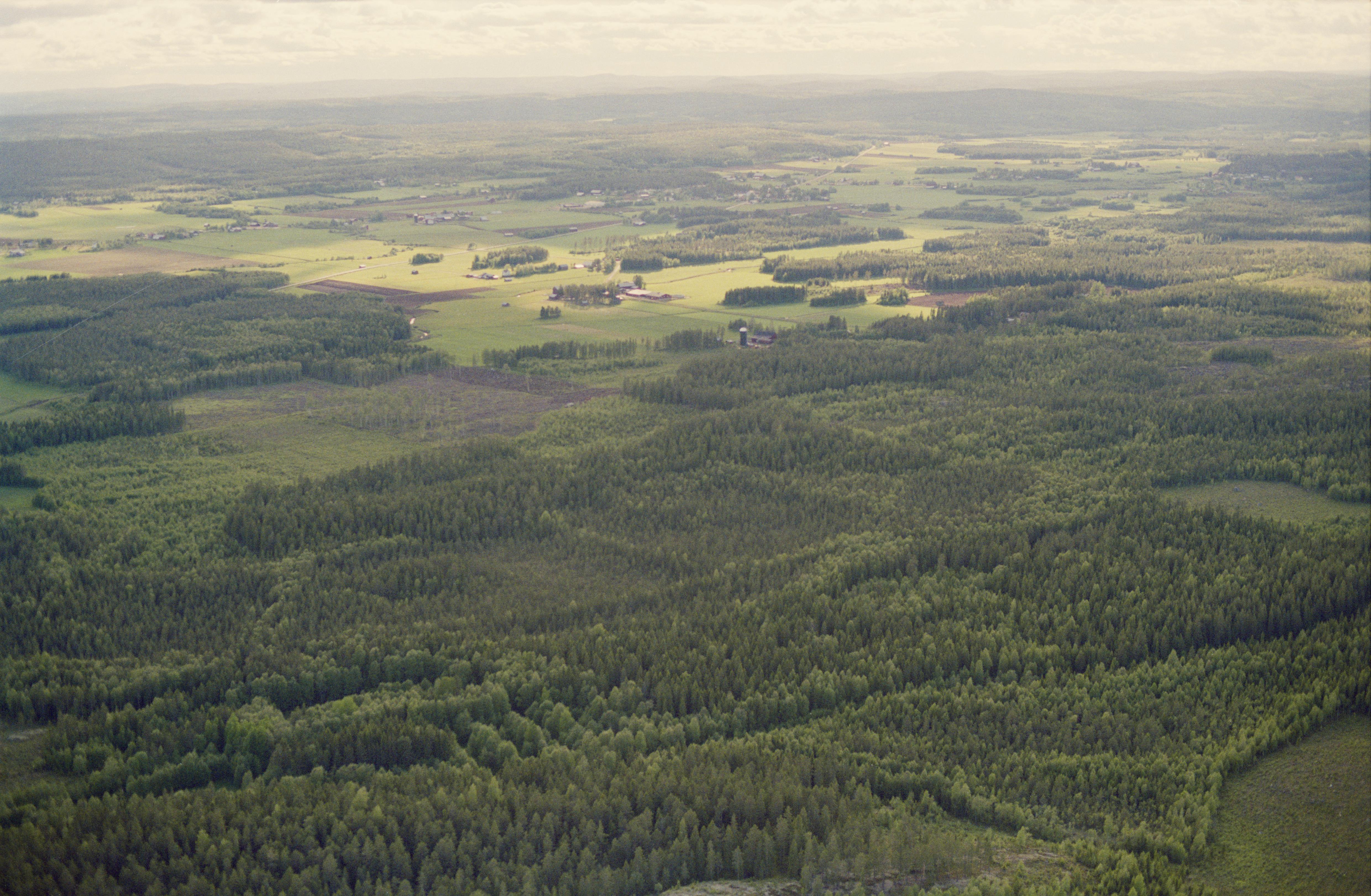 Jan Norrman, Nysätra 74:1