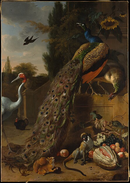 Melchior d' Hondecoeter, Peacocks
