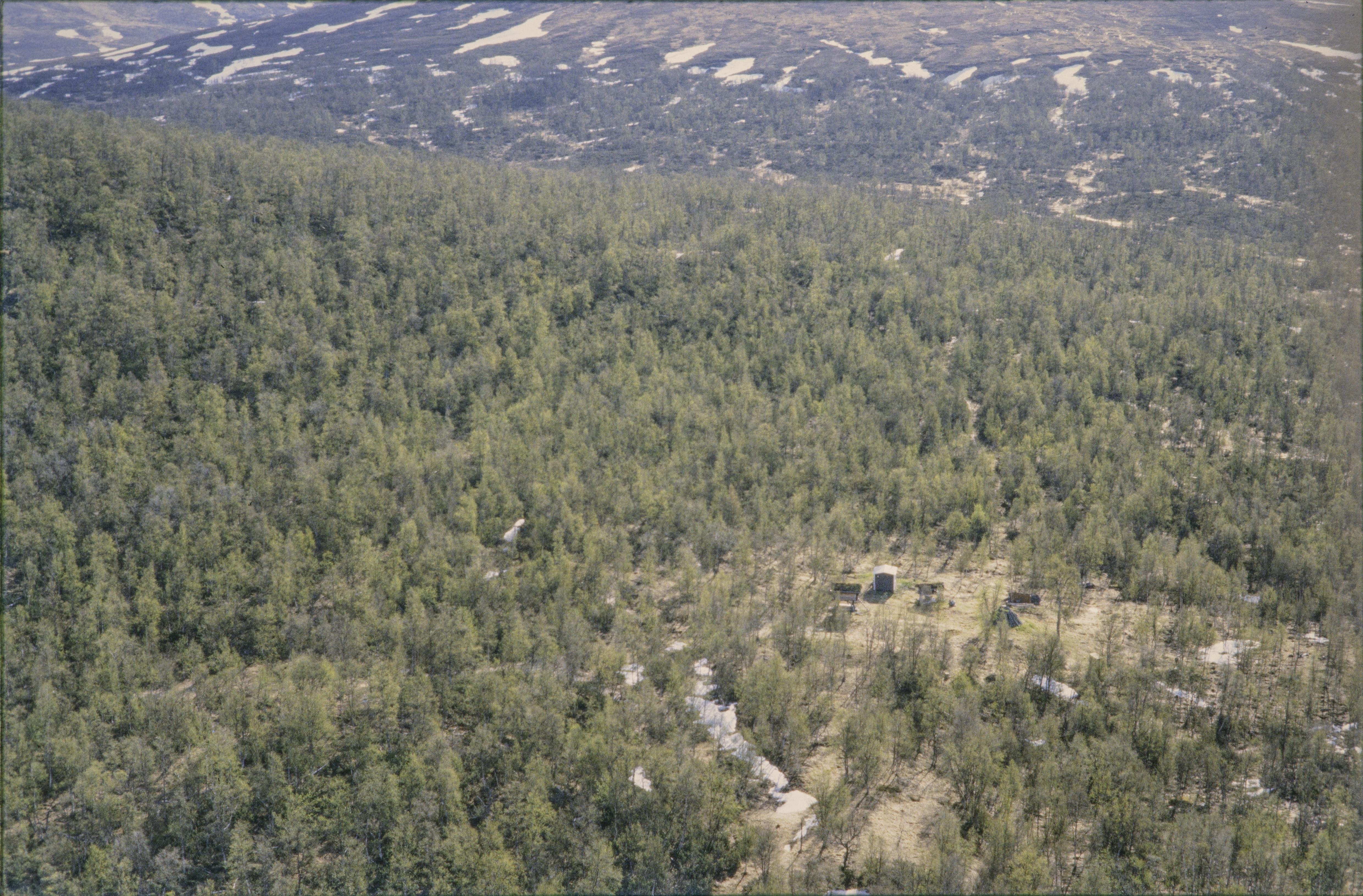 Jan Norrman, Vilhelmina 2001:1