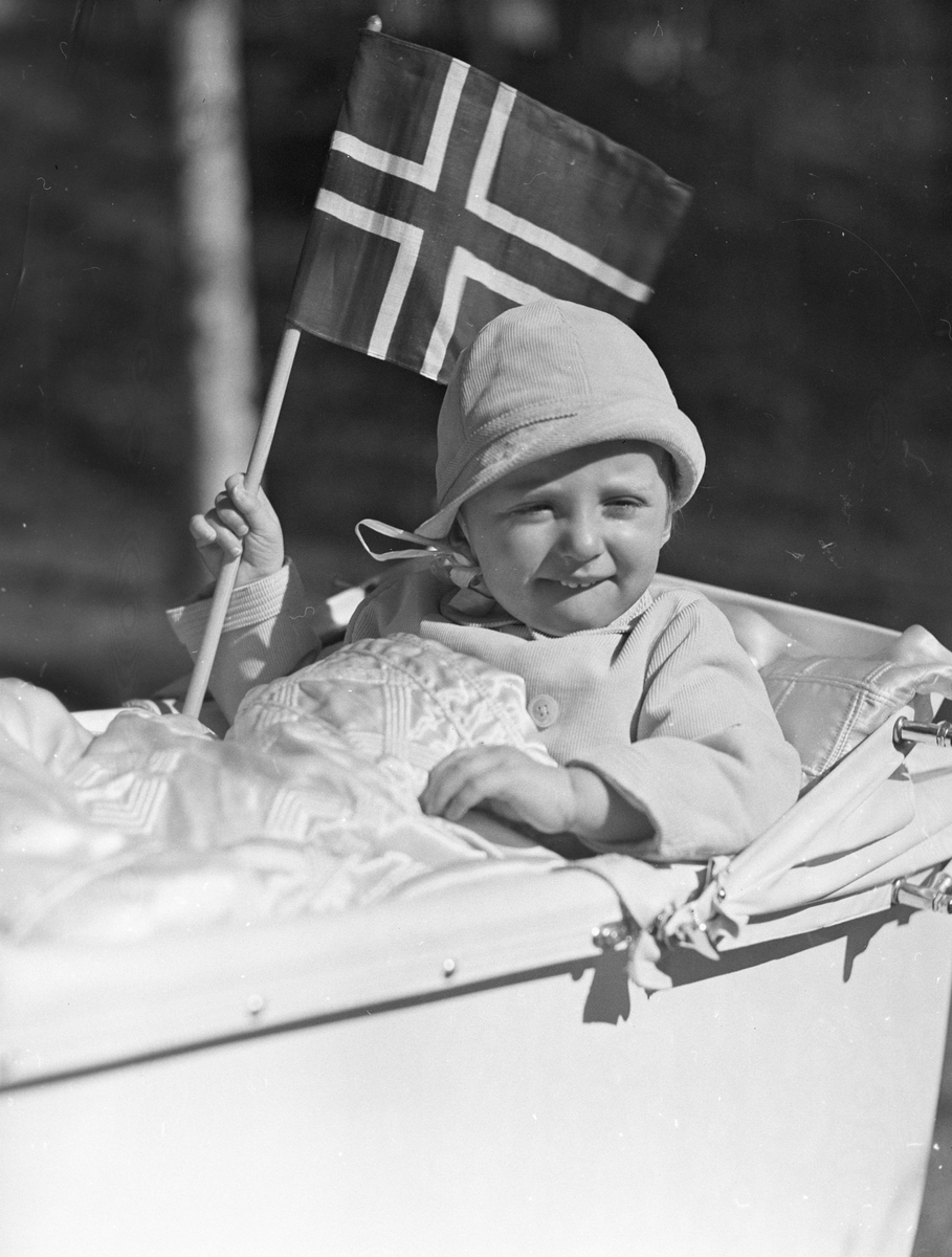 Anders Beer Wilse, Prot: Skaugum Harald alene