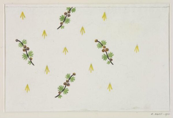 Unknown, Drawing