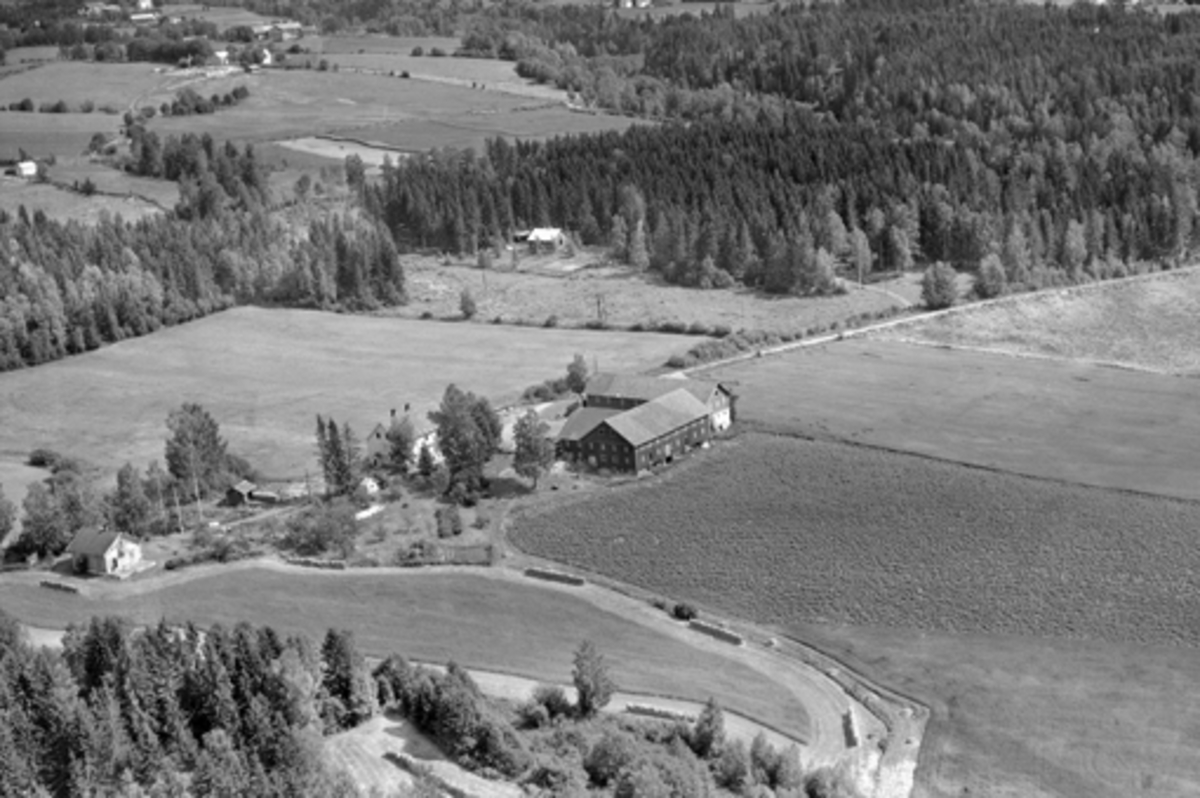 Anno Domkirkeodden, Flyfoto av Strammerud gard, Furnes, Ringsaker. Eier i 1956 er Lars Stramrud.