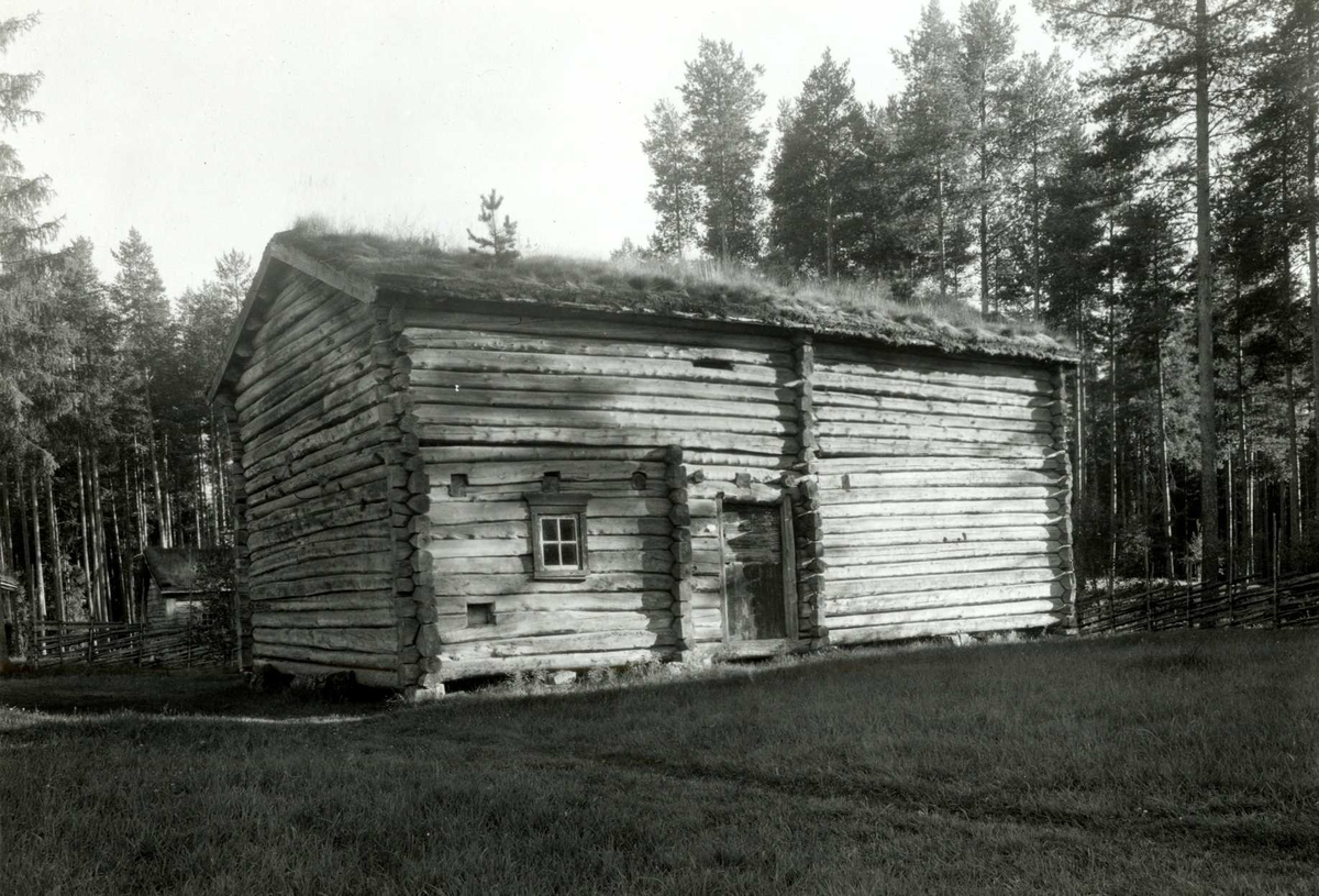 Gisle Midttun, Oldertrøen, Tynset, Nord-Østerdal, Hedmark. Stallåve. Nå på Glomdalsmuseet.