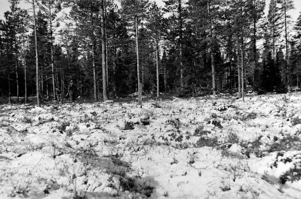 Adolf Skjegstad, ASK-01599