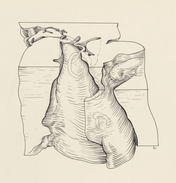 J Tinkelenberg, Cross section of a heart