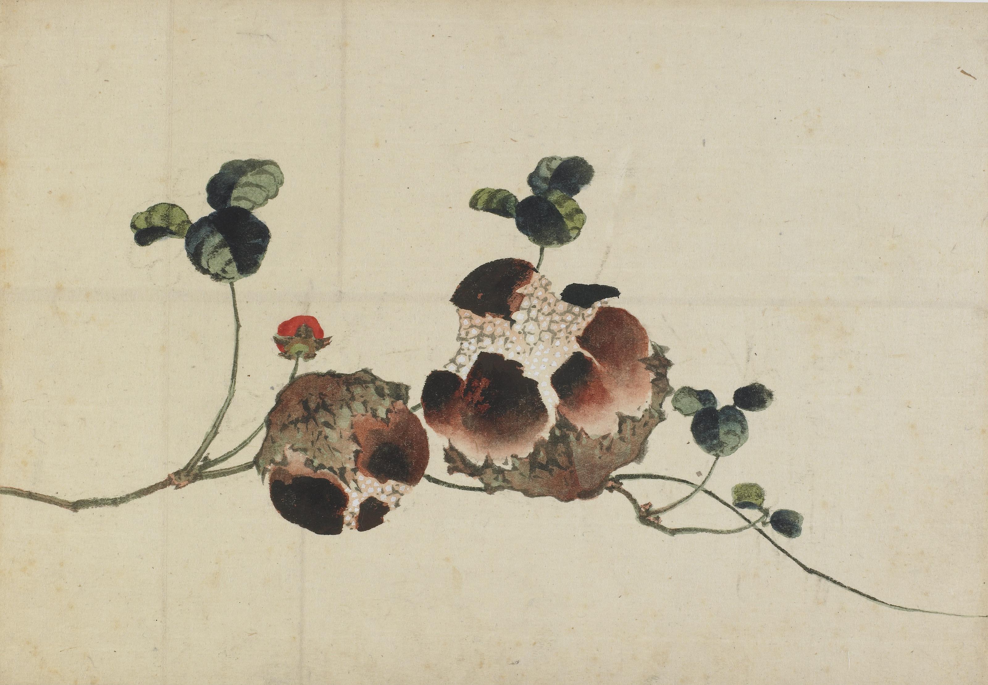 Katsushika Hokusai, Pomegranates