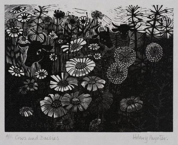 Hilary Paynter, Cows and Daisies