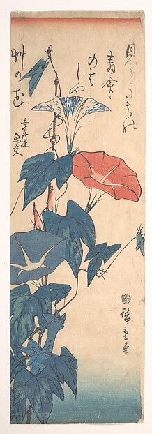 Utagawa Hiroshige, Morning Glories