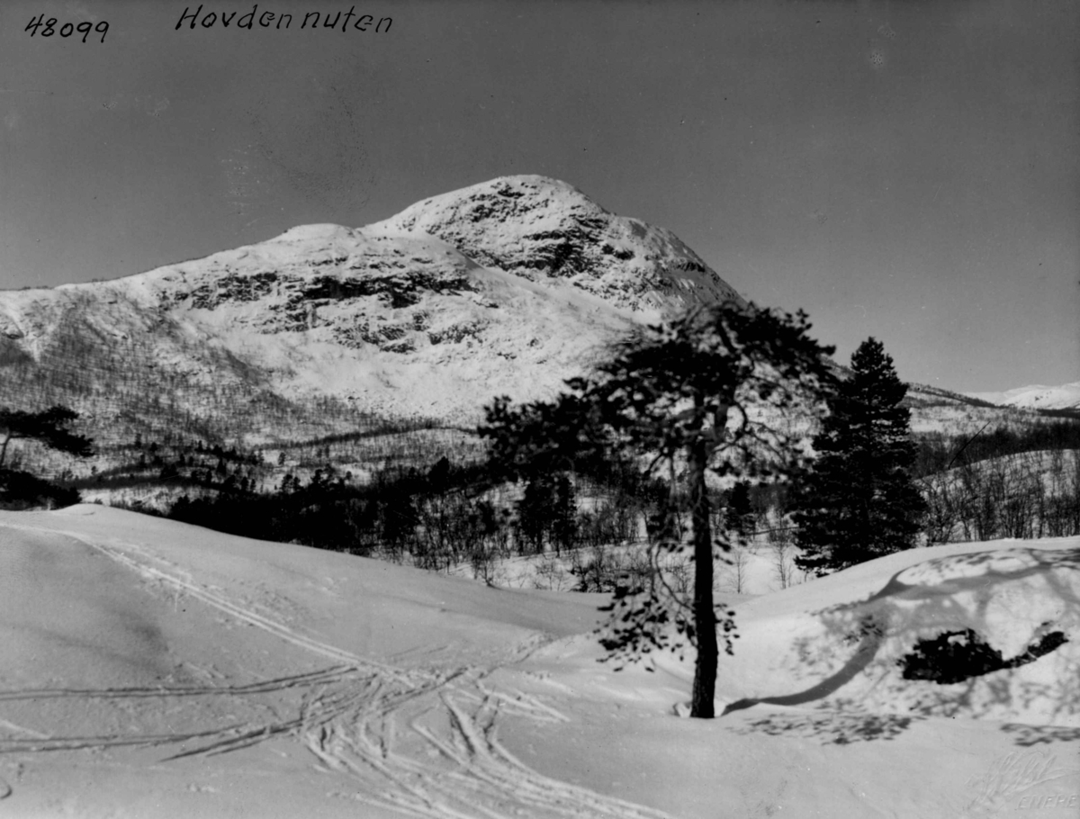 Anders Beer Wilse, Landskap, vinter, sno, Hovdenuten, Hovden.