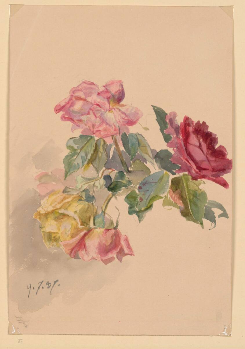 MarieLippert-Hoerner, Vier Rosen