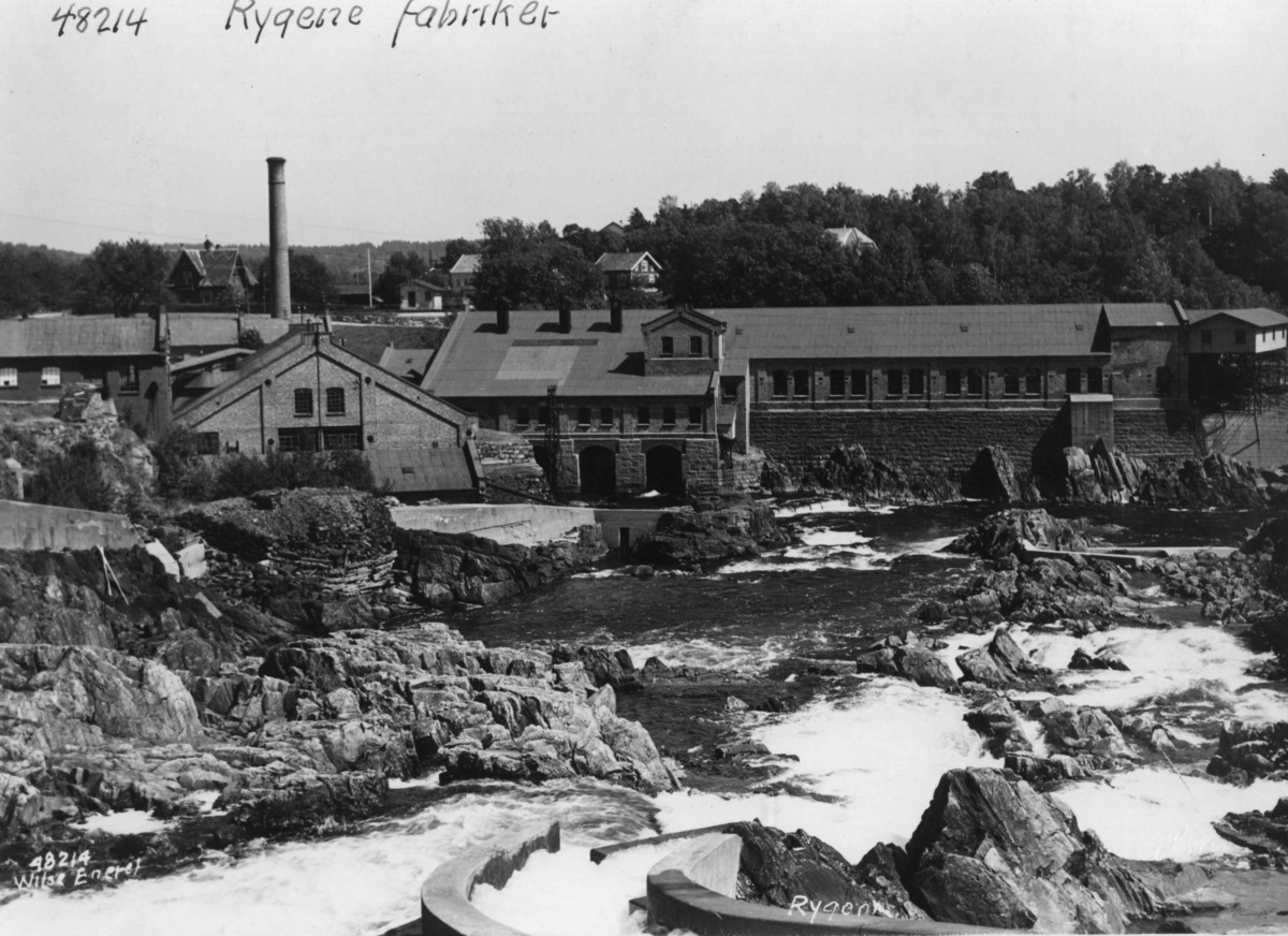 Anders Beer Wilse, Wilse original, Rygene Fabrikker