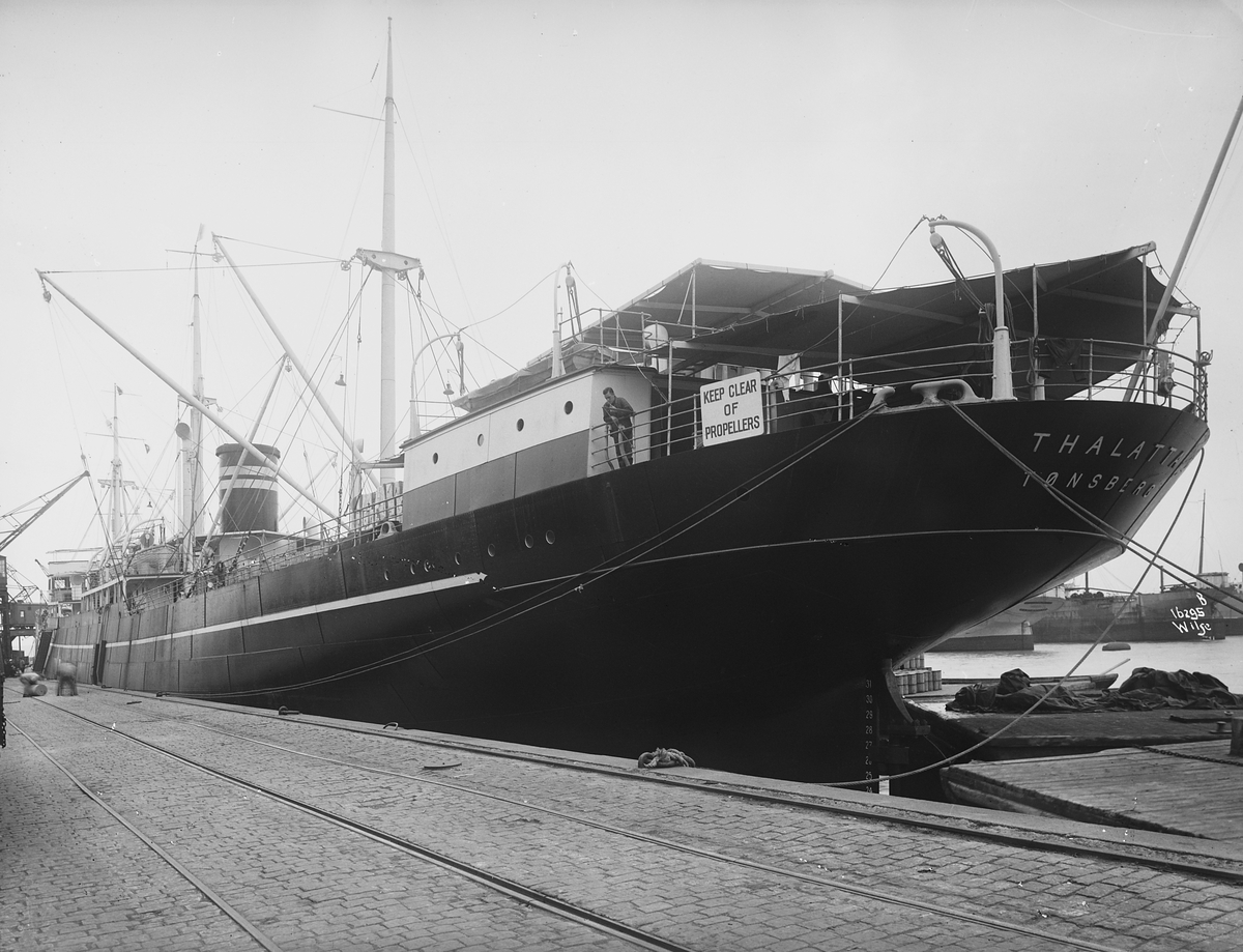 Anders Beer Wilse, Prot: Thalatta D.S. Wilhelmsen