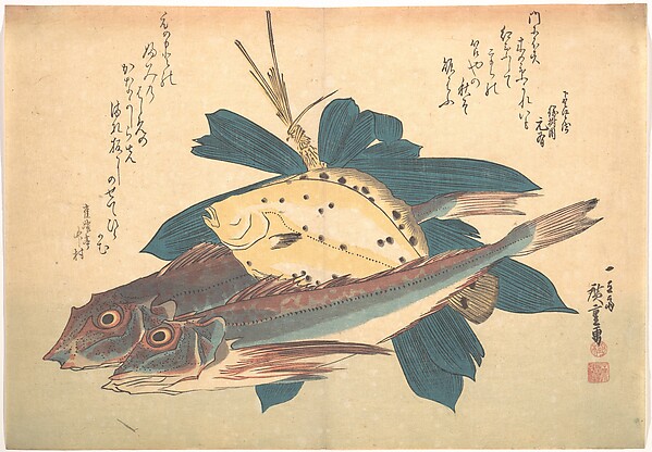 Utagawa Hiroshige, Kanagashira and Karei Fish, from the series Uozukushi (Every Variety of Fish)
