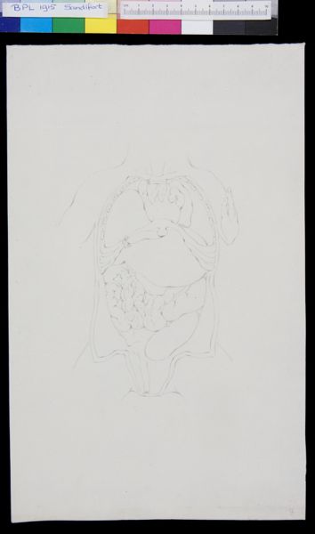 Gerard Sandifort, Abdomen, organs