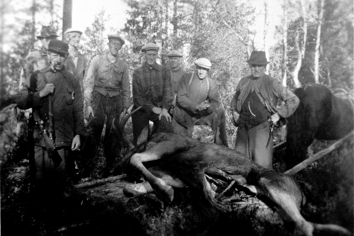 Anno Domkirkeodden, ELGJAKT, JAKTLAG VED GRØNNMYRA, ROKOSJØEN, FRA VENSTRE: OSKAR STØRE, O. GUNDERSEN ENGEN, ANSTEIN GAUKERUD, ODDVAR HAGEN, JØRGEN GAUKLERUD, MATHIAS STORSVEEN, MARTIN FINSTAD OG KNUT SKOGEN