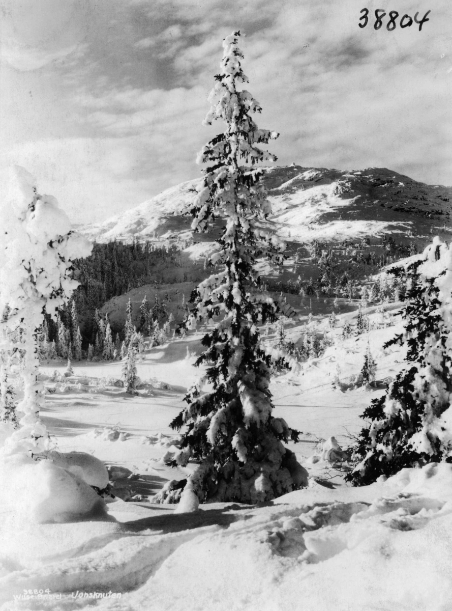 Anders Beer Wilse, Kongsberg Jonsknuten