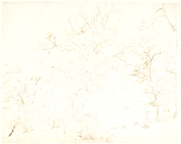 Dankvart Dreyer, Skovinteriør