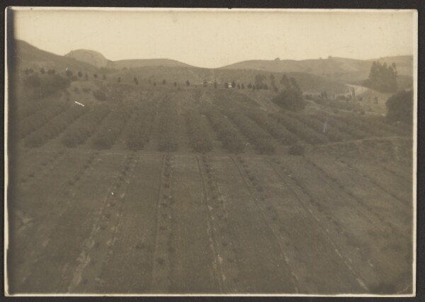 Louis Fleckenstein, [Farm Landscape]