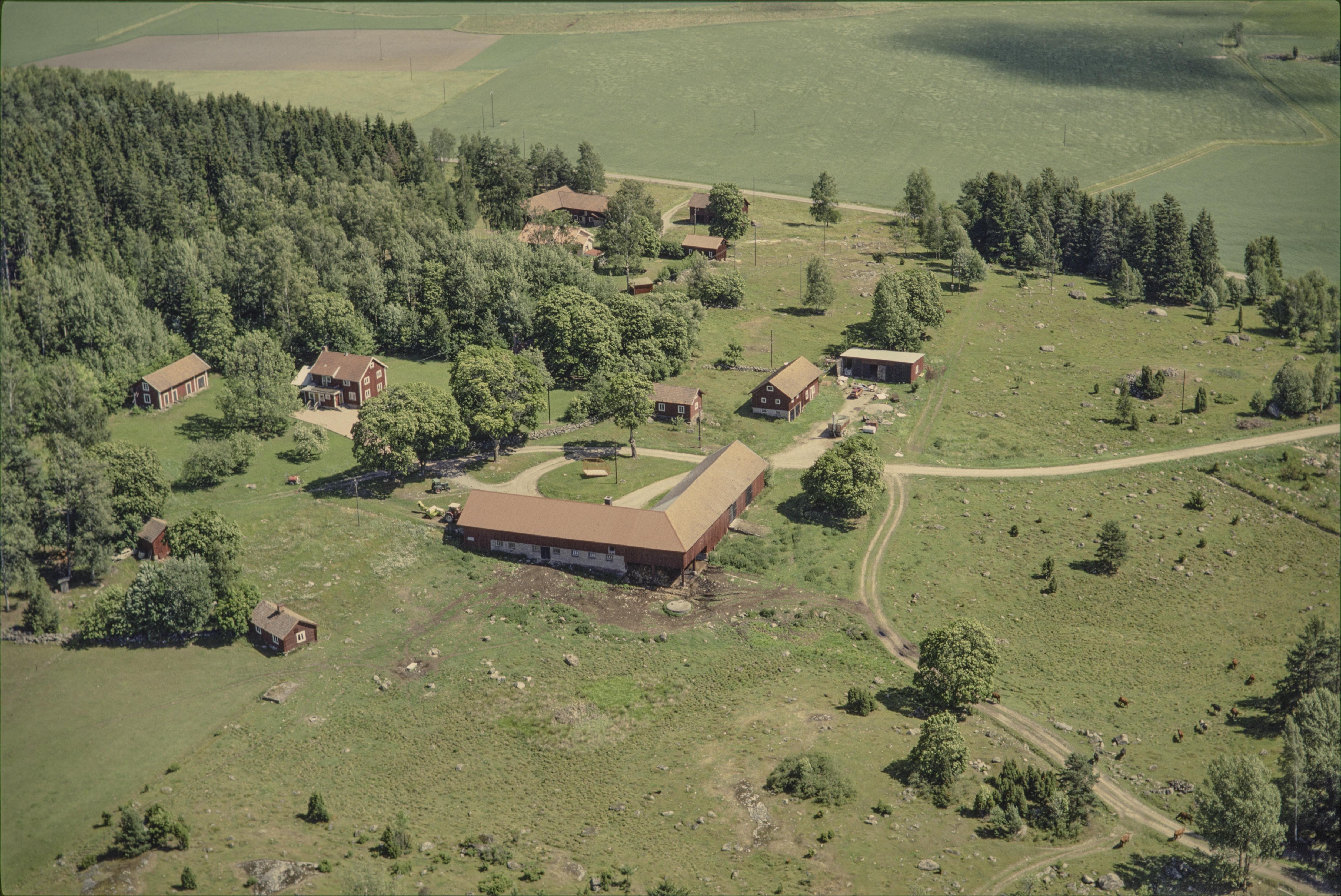 Jan Norrman, Munktorp 268:1