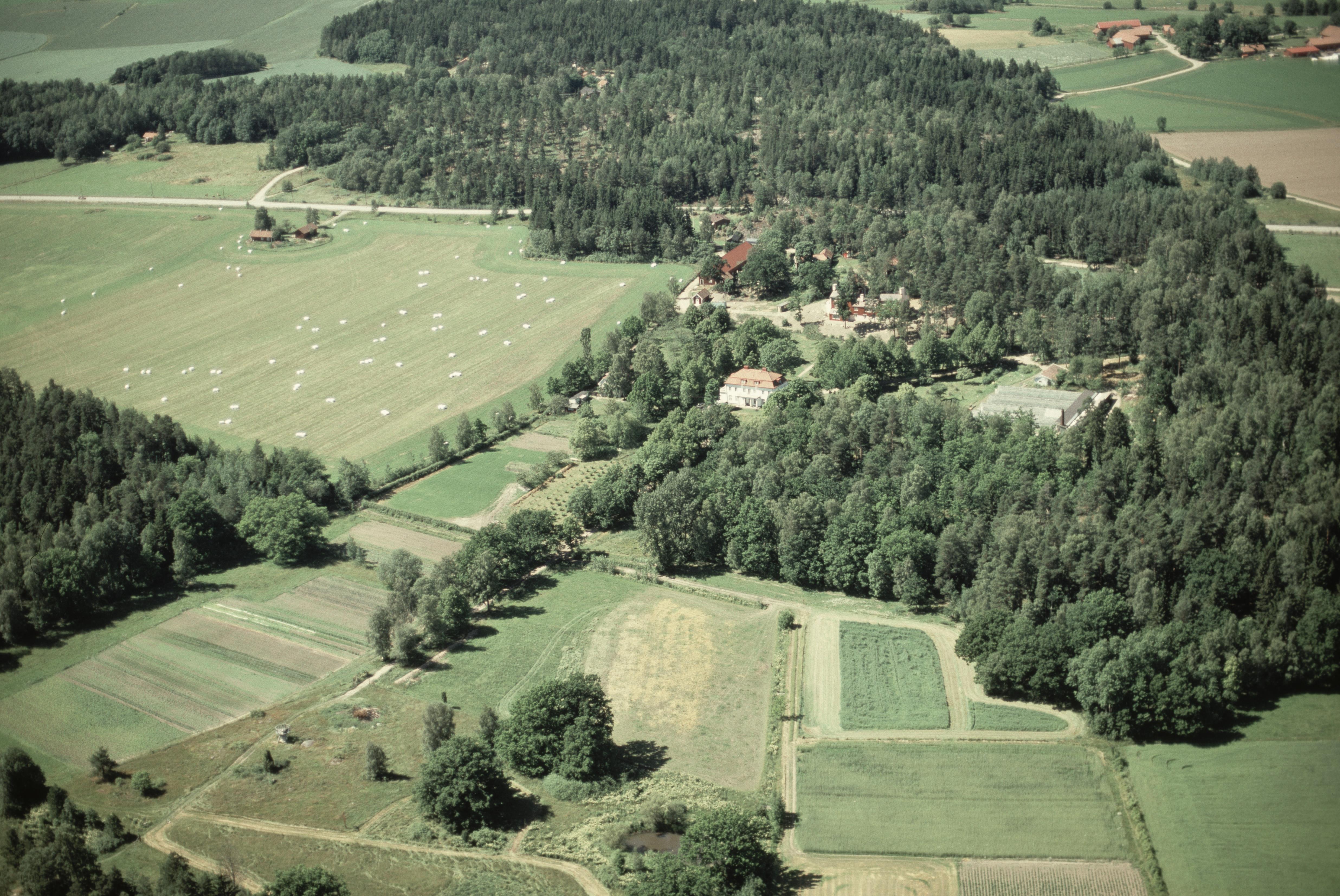 Jan Norrman, Skillebyholm