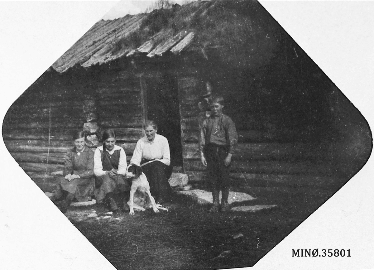 Ukjent, Kvinner, gutt, foran seterstue, hund.