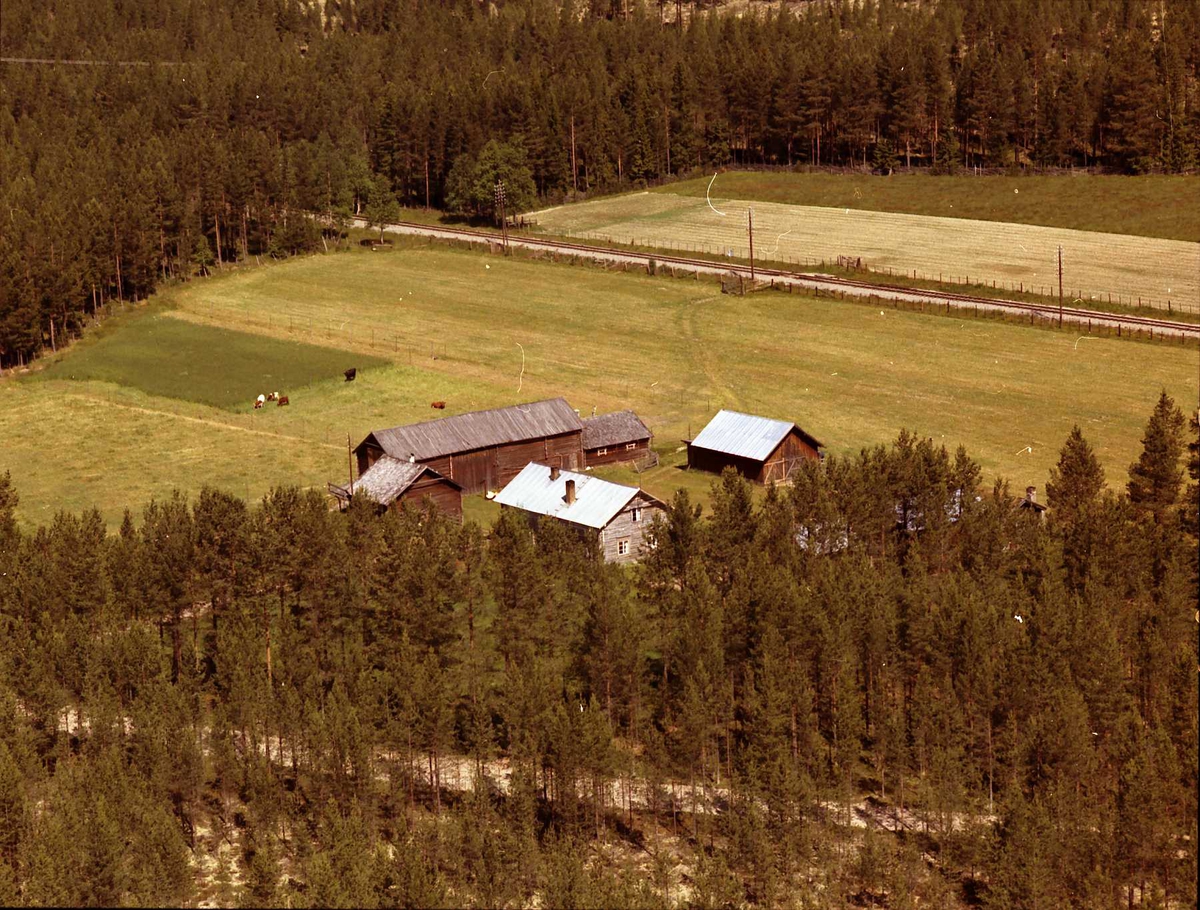 Widerøes Flyveselskap A/S, Gårdsbruk.