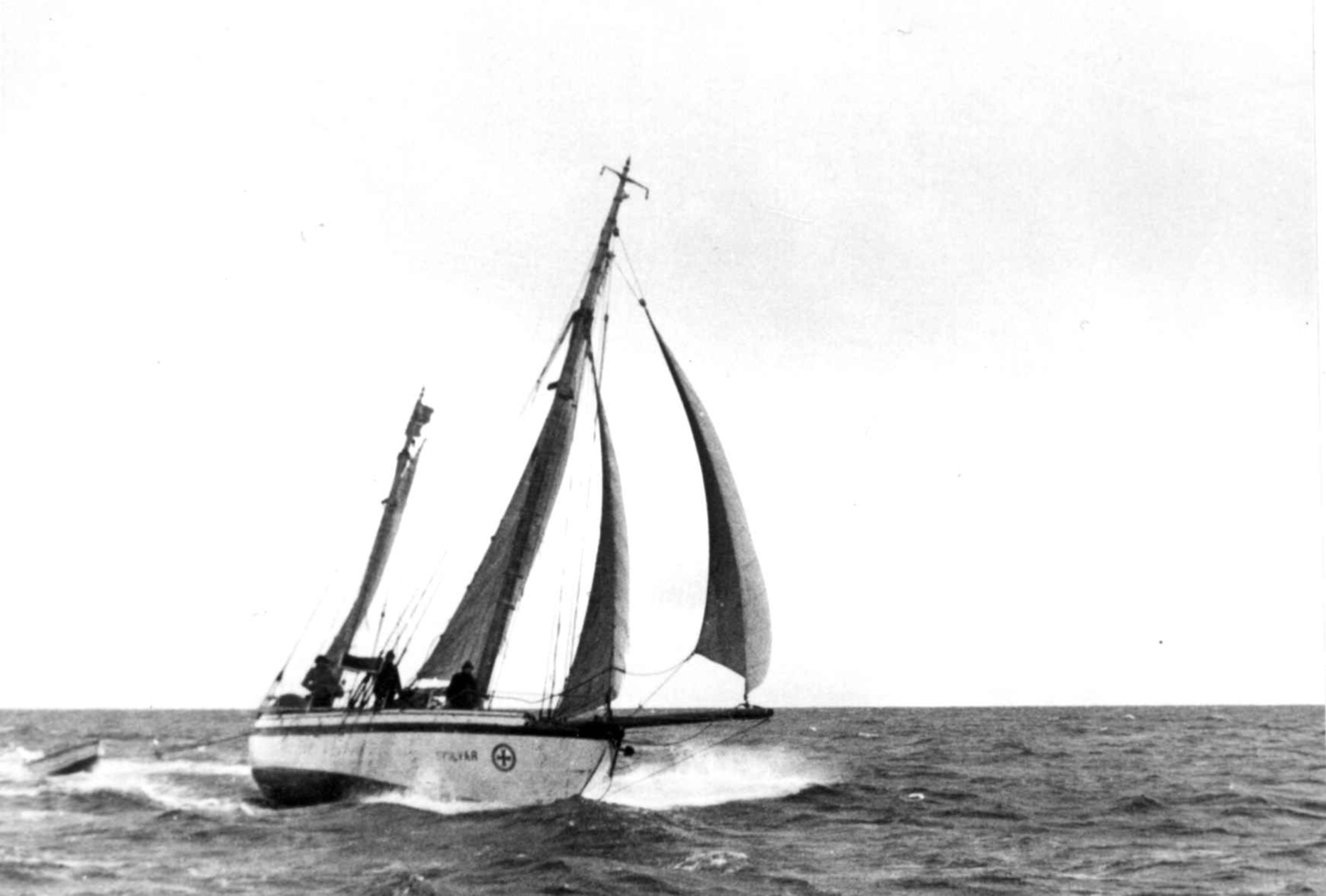 Anders Beer Wilse, Lofotfiske