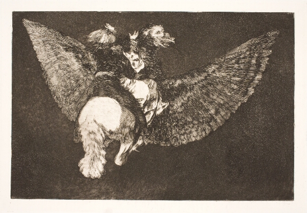 Francisco de Goya, Den flyvende dårskab (Giv afkald på den ven, som skjuler dig under sine vinger og bider dig med sit næb)
