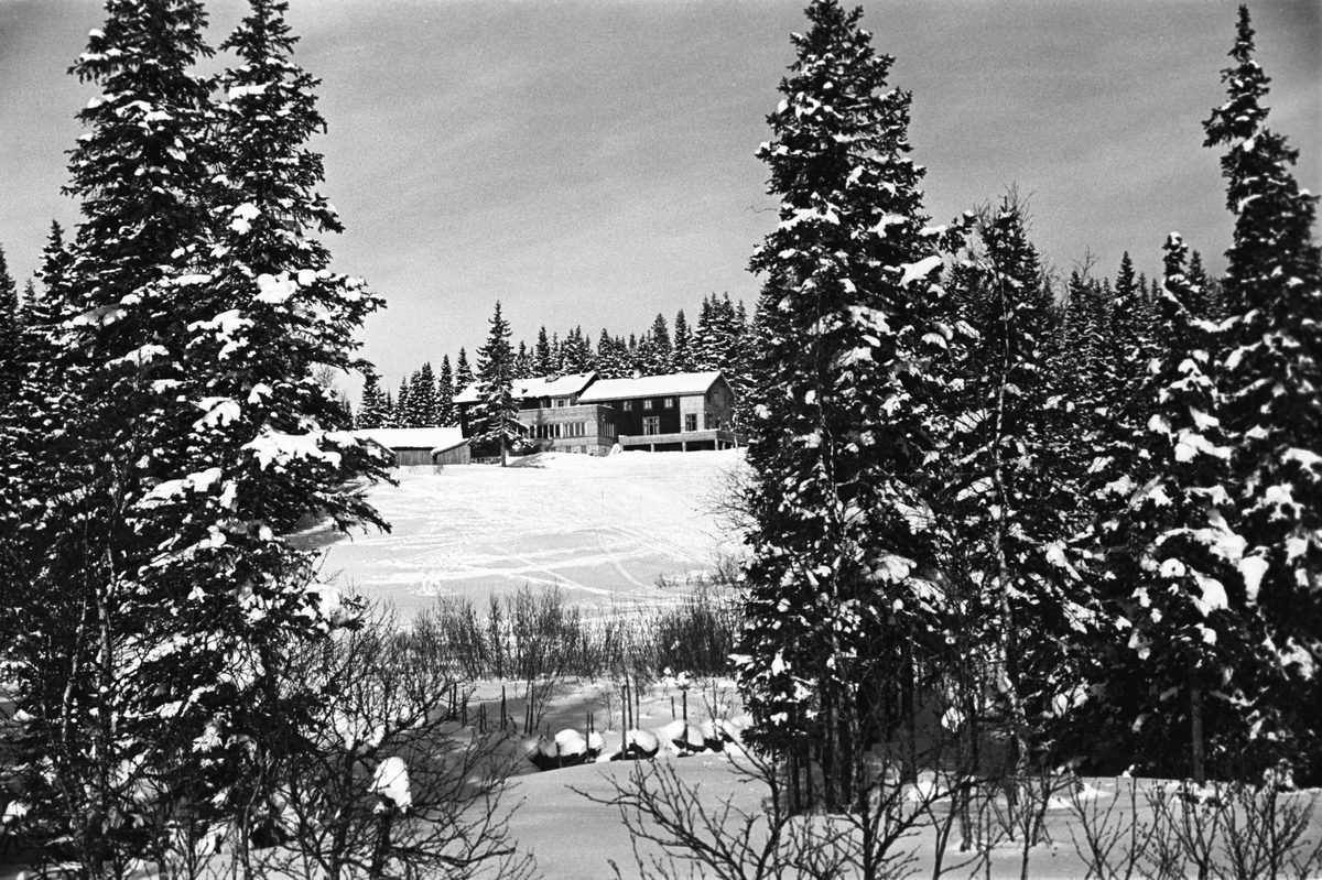 Anders Beer Wilse, Prot: Ringkollen Hotel
