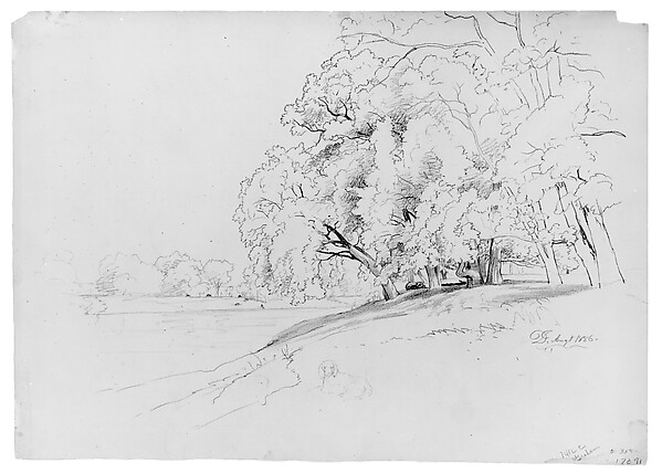 David Johnson, Trees and Dog