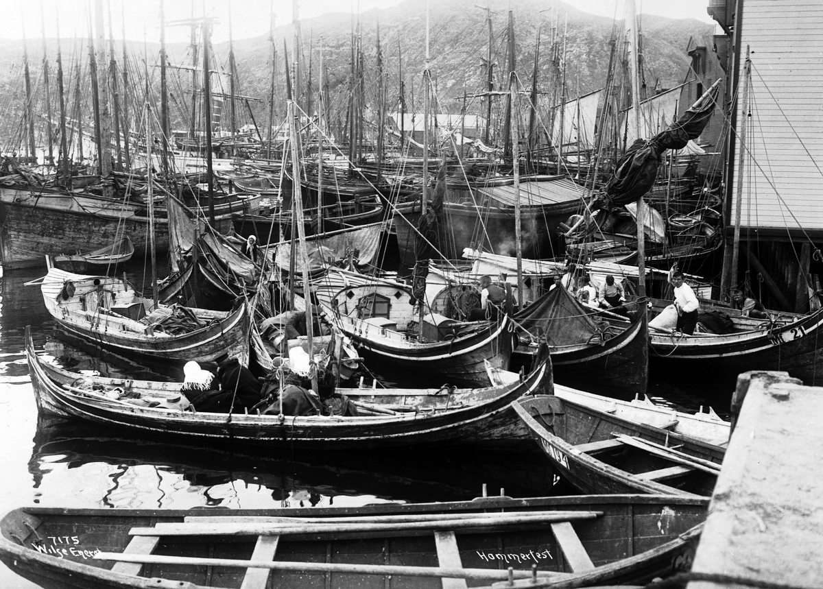Anders Beer Wilse, Prot: Hammerfest Havneparti