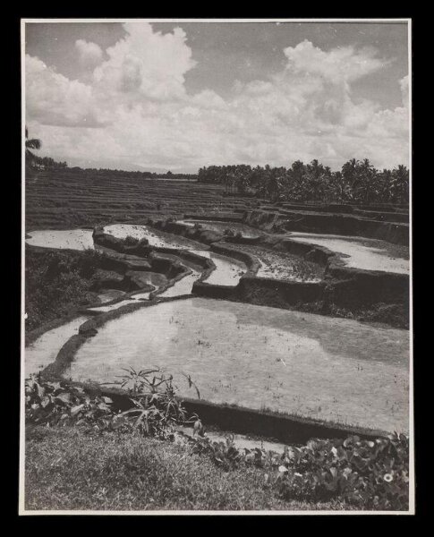 Hardy, Bert, Landscape, Bali