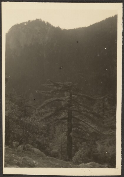 Louis Fleckenstein, [Landscape]
