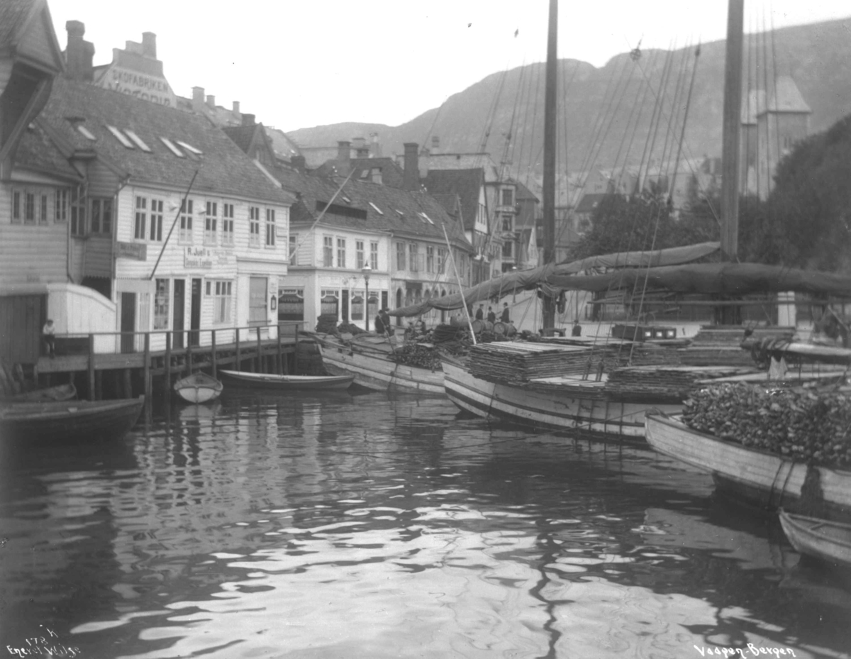 Anders Beer Wilse, Bergen V og Z, Vågen