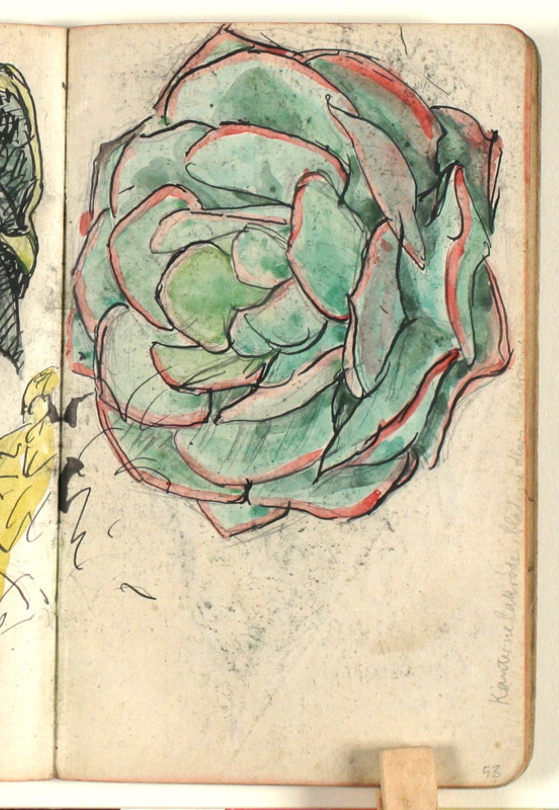 Niels Larsen Stevns, Plantestudie med farveangivelser