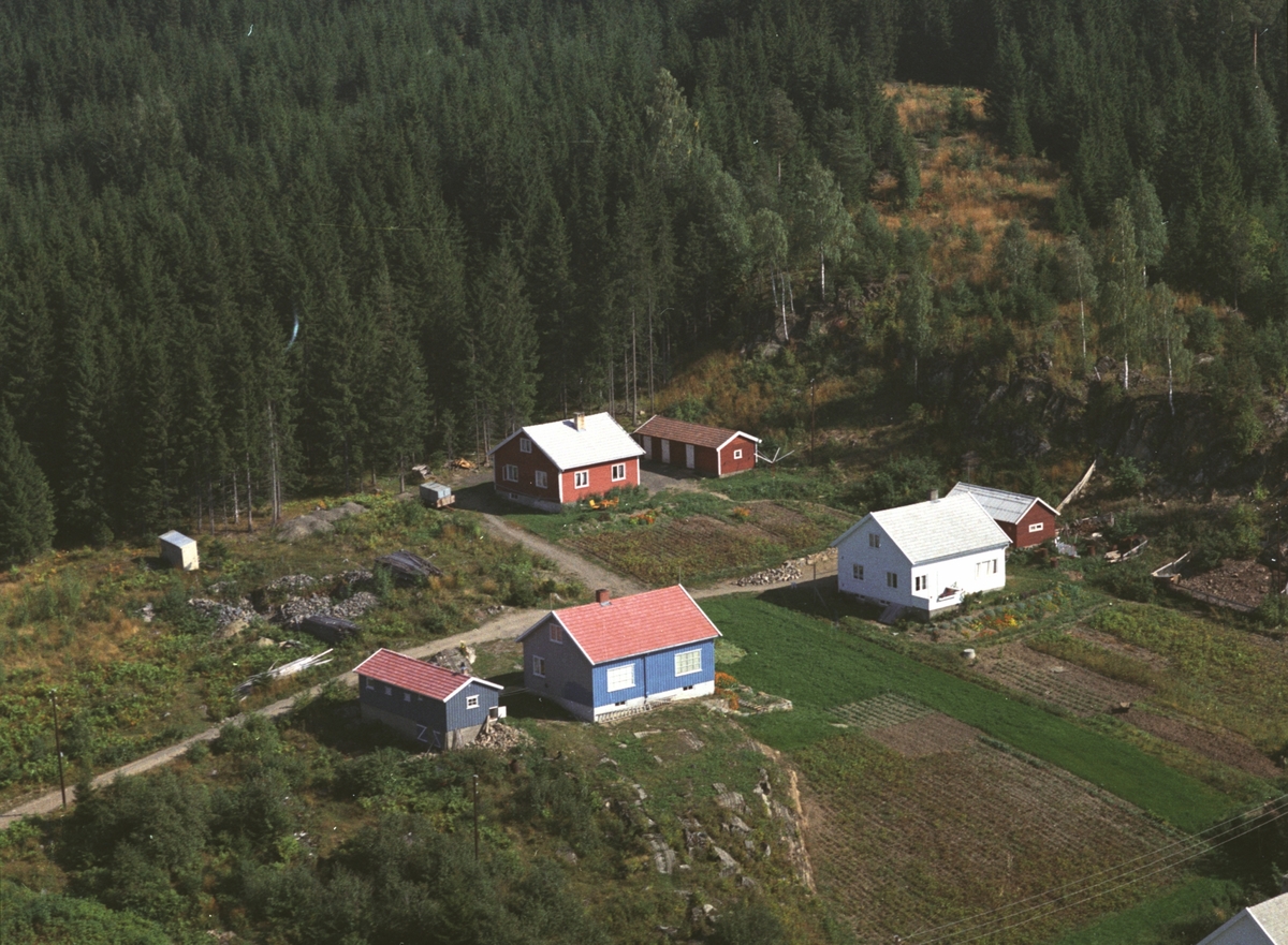 Widerøes Flyveselskap A/S, Flyfoto, boliger ved prestegårdskogen, Ringsaker.