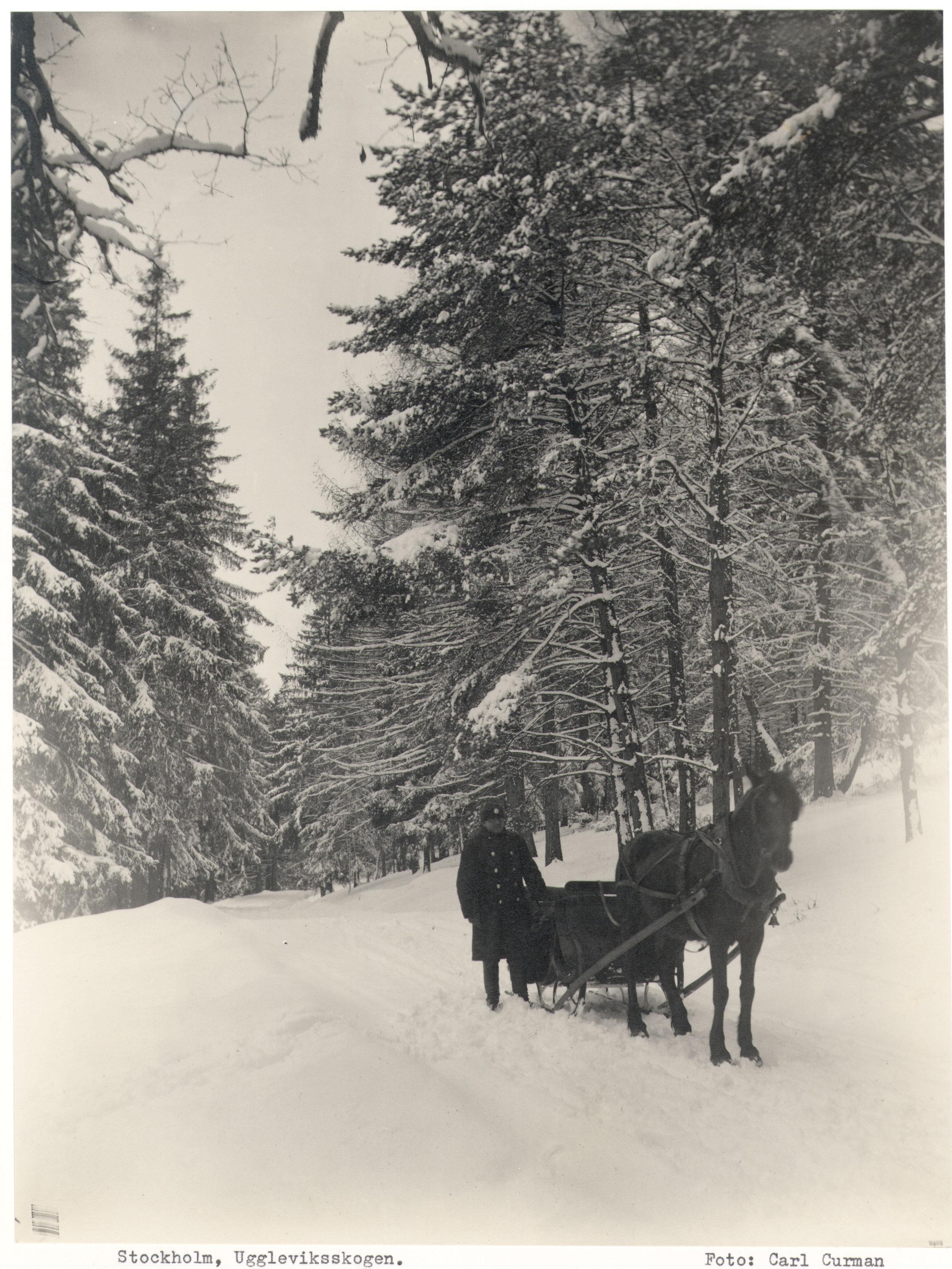 Carl Curman, Norra Djurgården