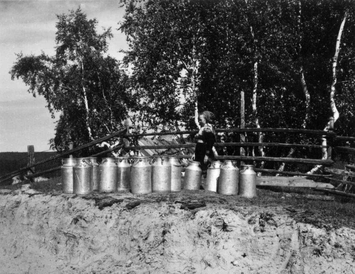 Virginia Raymond Davidson, Melkespann ved veien i Karasjok, 1959.