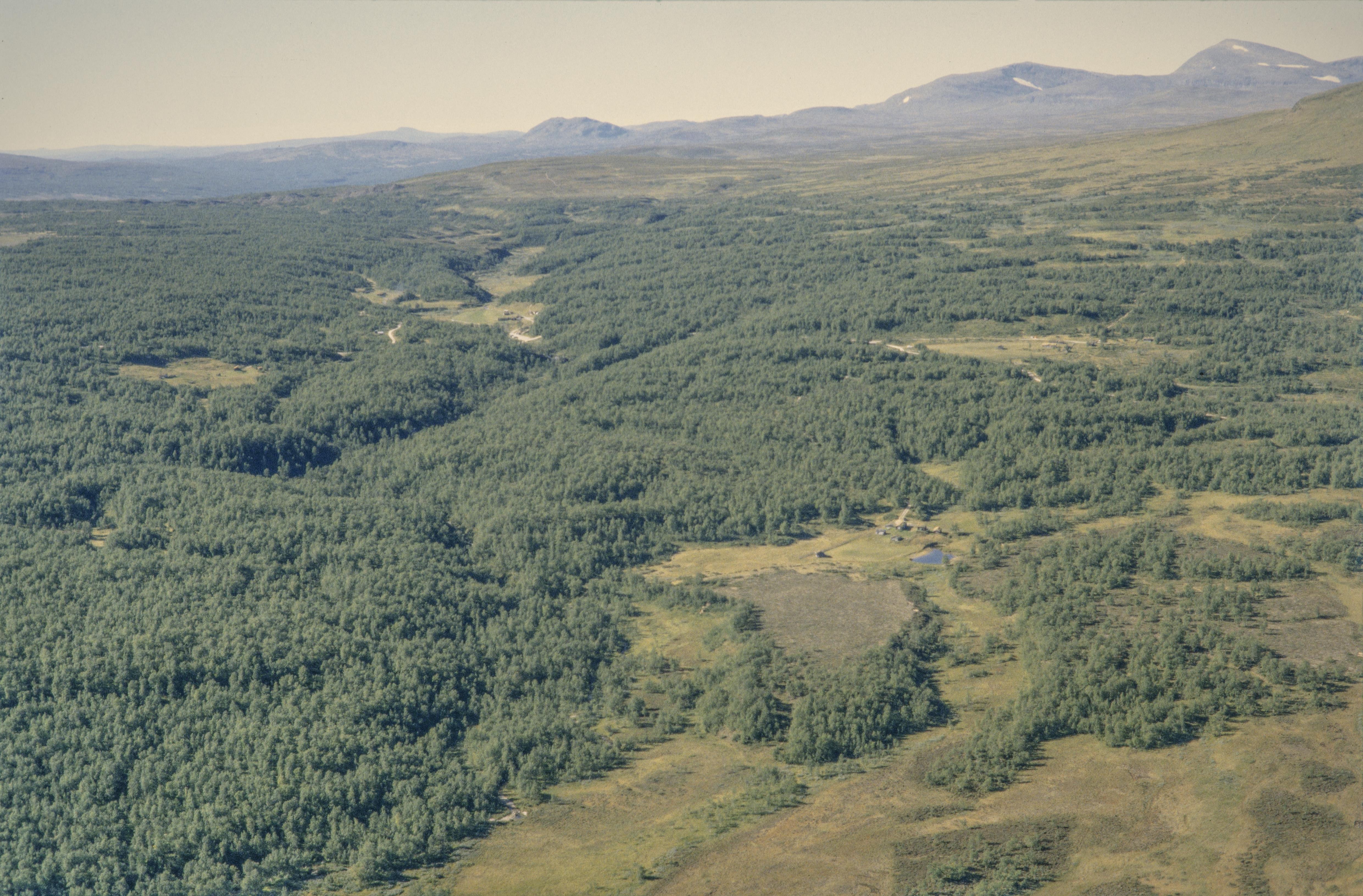 Jan Norrman, Tännäs 44:1