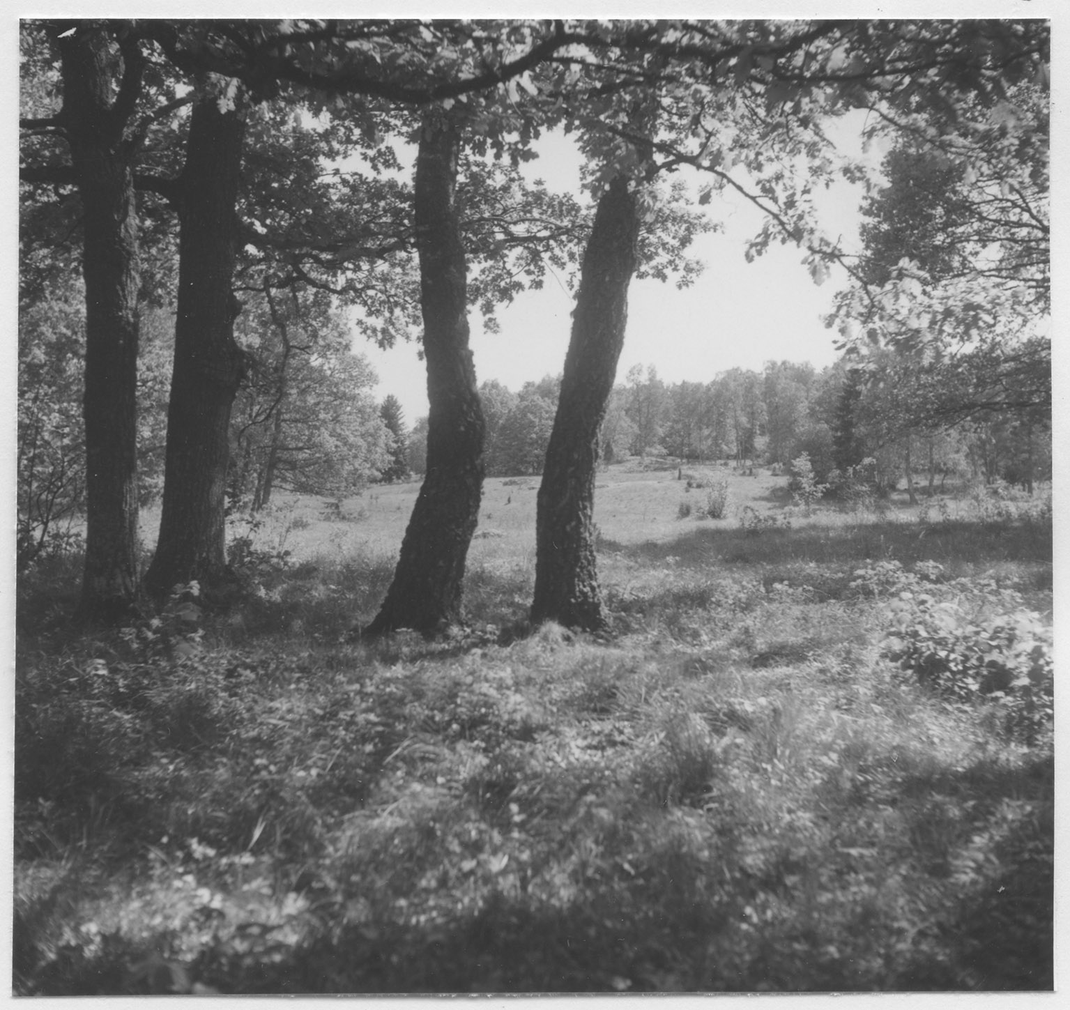 Mårten Sjöbeck, Måstena