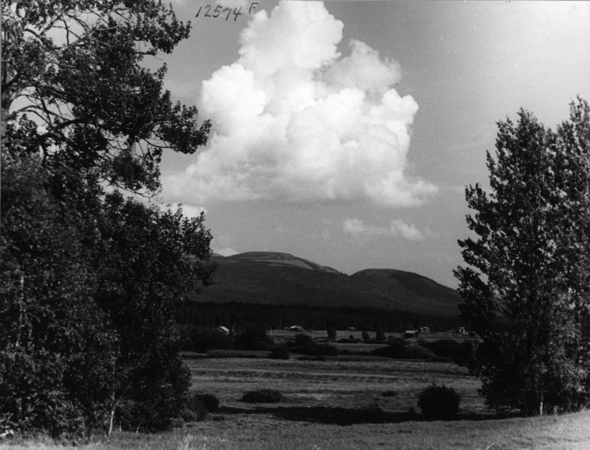 Anders Beer Wilse, Faksefjell Ljørdalen