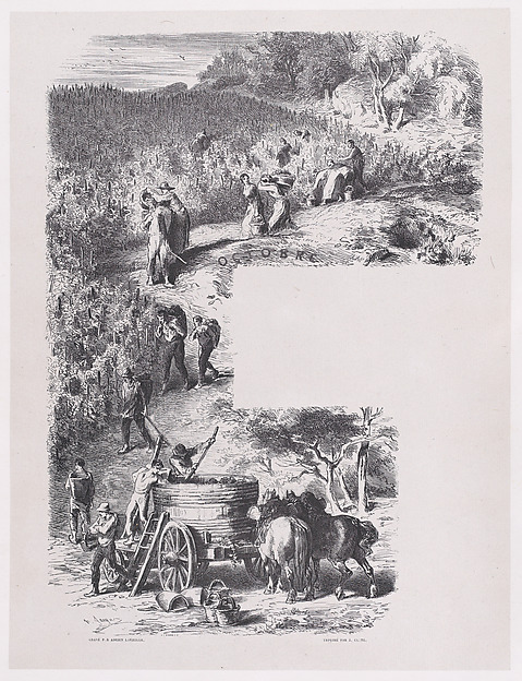 Charles Jacque, October, from "Album of Rustic Subjects"