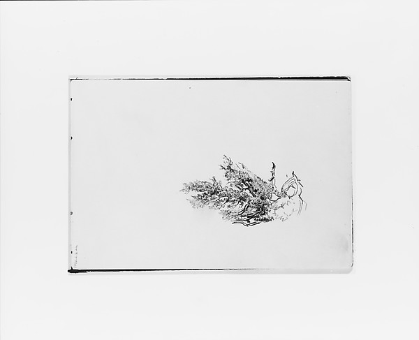 William Trost Richards, Nature Study (from Sketchbook X)