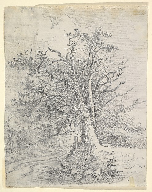 John Crome, Study for Tree Trunks and Lane